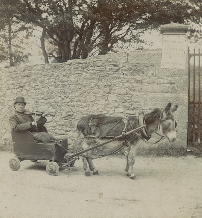 Violinist Pulled by a Donkey by English Photographer